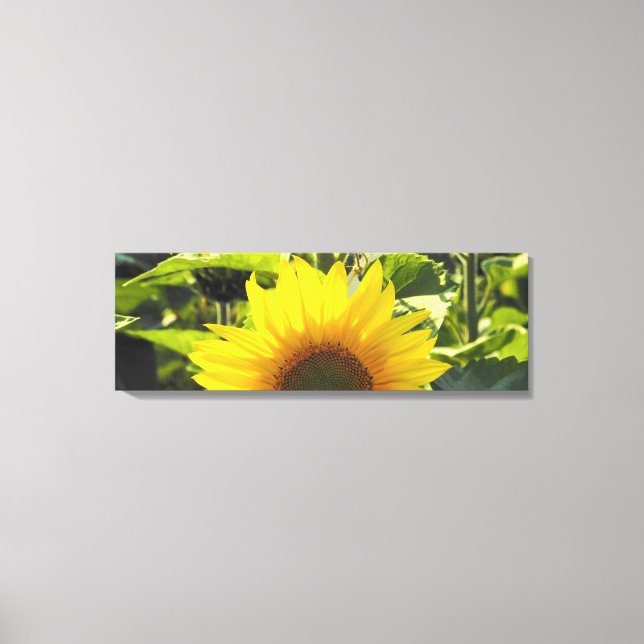 Impressão Em Tela Tela de girassol (36X12) (Frente)