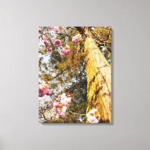 Impressão Em Tela Tela de Sequoia e Flor de Cereja