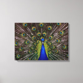 Impressão Em Tela Tela de tela plana