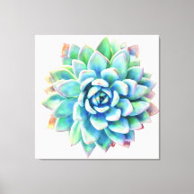 Tela de tela suculenta extra grande de 5 pés x 5 p