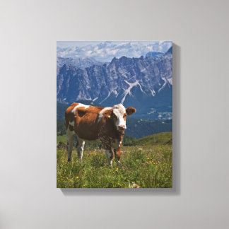 Impressão Em Tela Tela Enrolada de Vaca Alpina