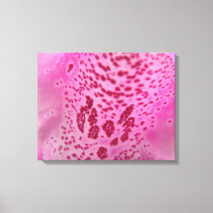 Impressão Em Tela Tela Petal Rosa Foxglove