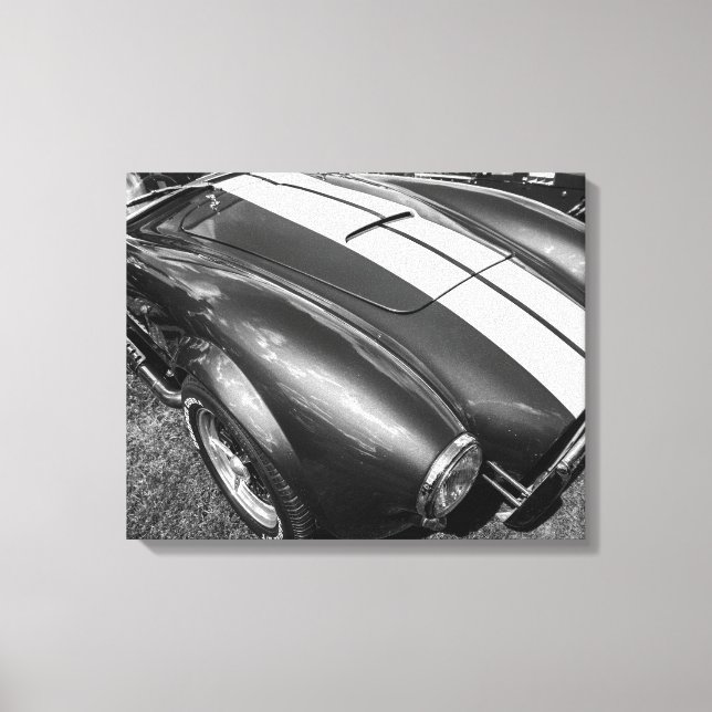 Impressão Em Tela Telas de lona "AC cobra" (Frente)