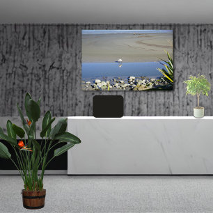 Impressão Em Tela Tempo de alimentação para a lei de spoonbill