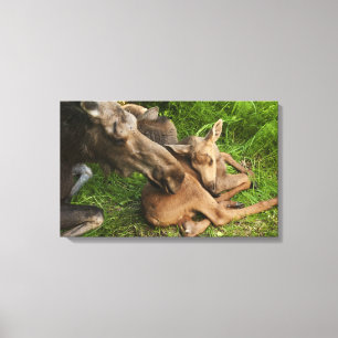 Impressão Em Tela Tender Madre Moose