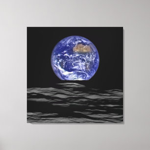 Impressão Em Tela Terra