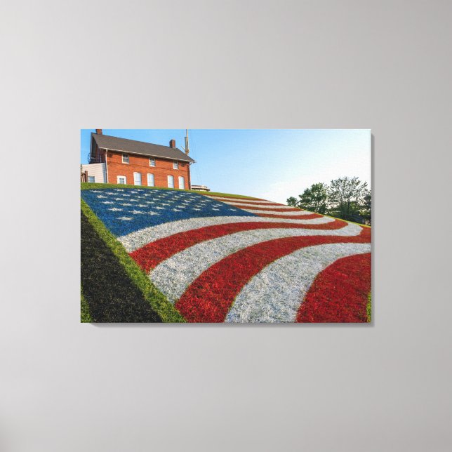 Impressão Em Tela Terra Patriótica (Frente)