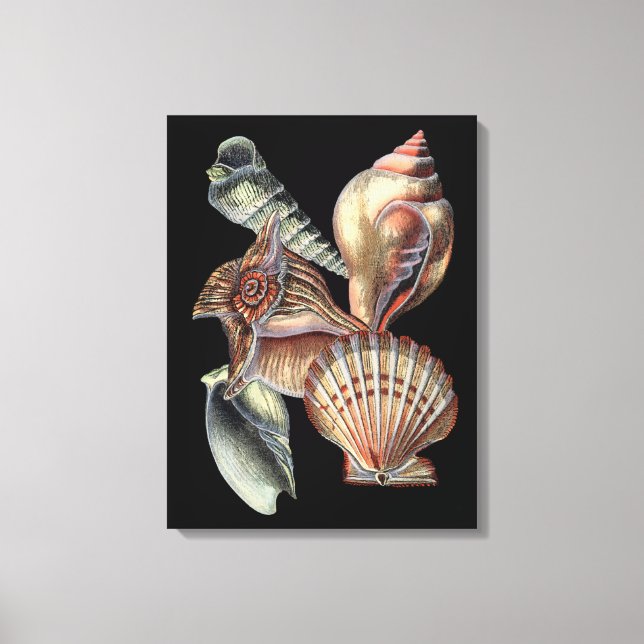 Impressão Em Tela Tesouros do mar (Frente)