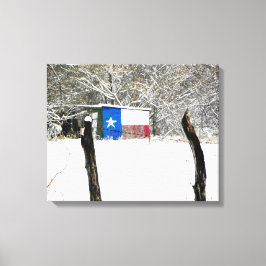 Impressão Em Tela Texas Snow