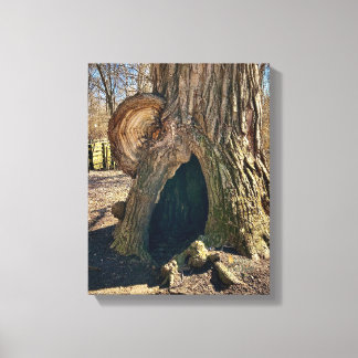 Impressão Em Tela The Curious Hollow 28 x 35 cm