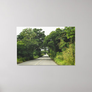 Impressão Em Tela The Emerald Passage