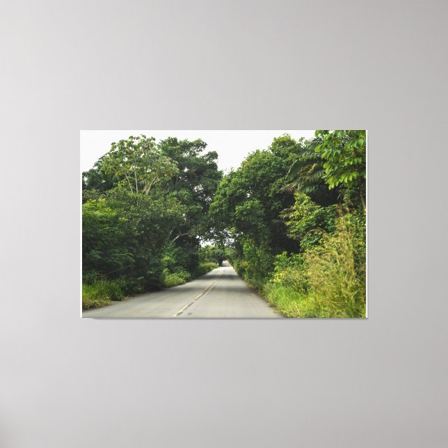 Impressão Em Tela The Emerald Passage (Frente)