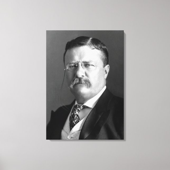 Impressão Em Tela Theodore Roosevelt Teddy Presidente Republicano (Frente)