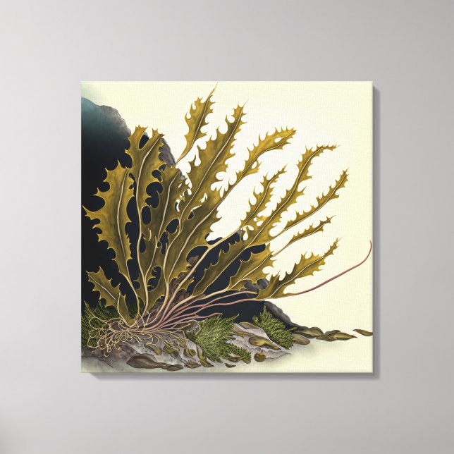 Impressão Em Tela Tidal Fronds (Frente)