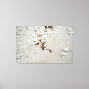 Impressão Em Tela Tideline Calligraphy