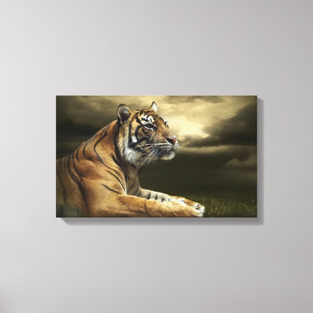 Impressão Em Tela Tiger olhando e sentando sob o céu dramático (Frente)