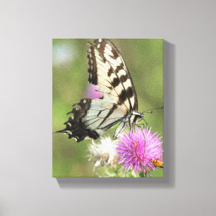Impressão Em Tela Tiger Swallowtail em Thistle