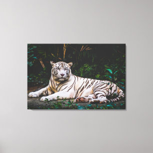 Impressão Em Tela Tigre