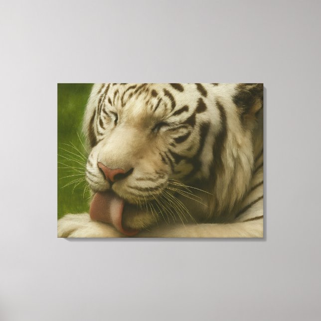Impressão Em Tela Tigre Branco no Ritual de Alinhamento Privado (Frente)