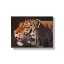 Tigre Majestoso Pequeno