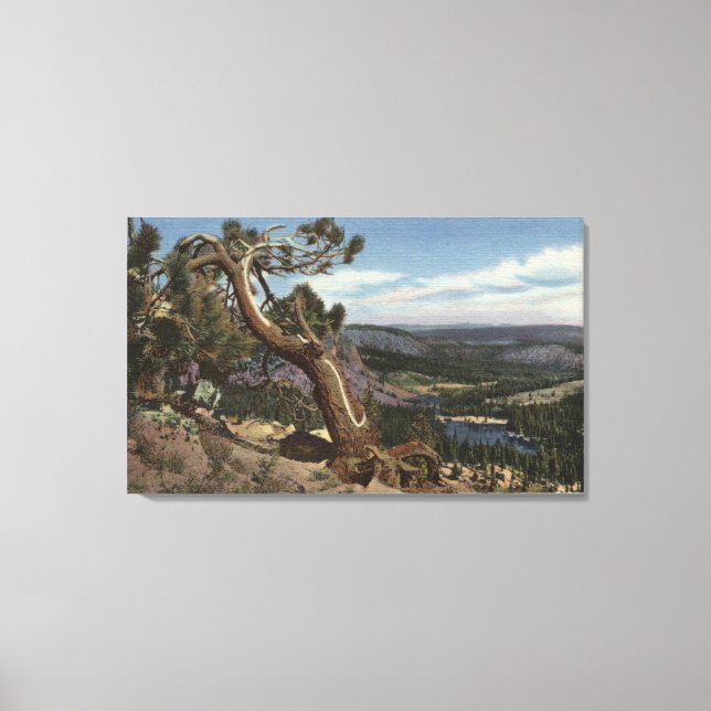 Impressão Em Tela Timberline no Crest Mammoth (Frente)