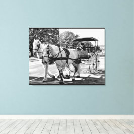 Impressão Em Tela Timeless Journey