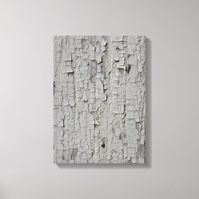 Impressão Em Tela Tinta de casca de descascamento (Frente)