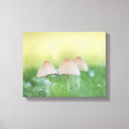 Impressão Em Tela Tiny Mushroom Nature Foto