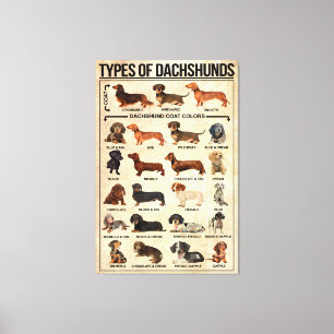 Impressão Em Tela Tipos De Cães Poster, Sacos De Cachinhos Conhecido