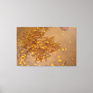 Impressão Em Tela Title: Amber Echoes in the Rain