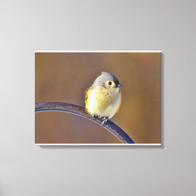 Impressão Em Tela Titmouse tufado (Frente)