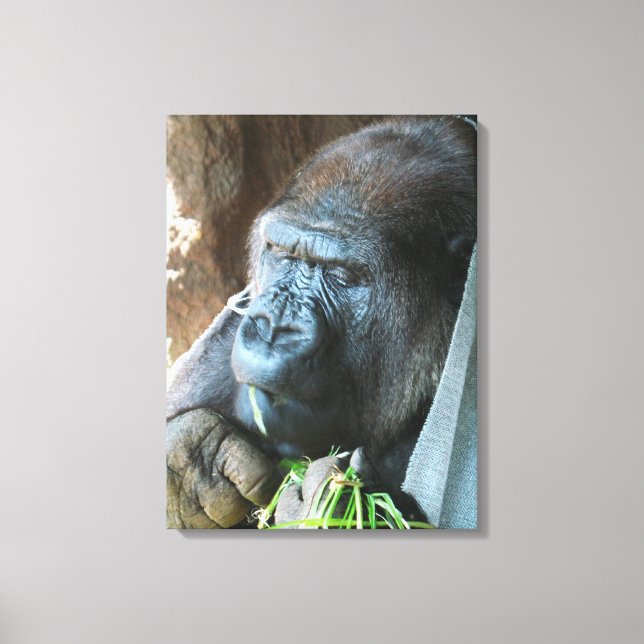 Impressão Em Tela Toca de macaco ~ Gorila Japonês Comendo (Frente)