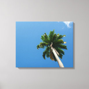 Impressão Em Tela Towering Tropical Palm Tree Against a Bright Sky