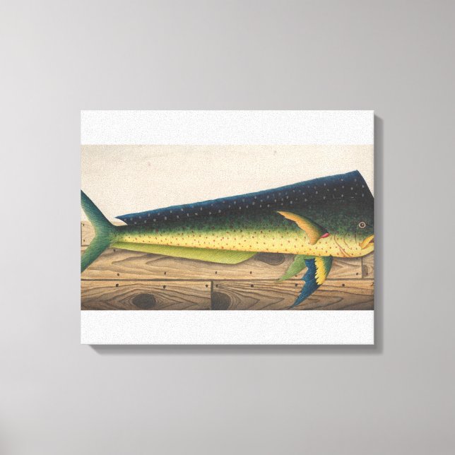 Impressão Em Tela Trabalho de arte de Peixe Mahi (Frente)