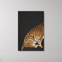Traseira do tigre sentado na plataforma