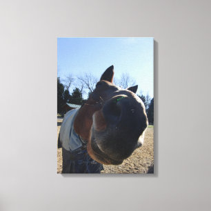 Impressão Em Tela TRATADOS?  Cavalo Nosey