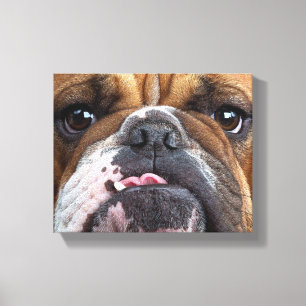 Impressão Em Tela Travesseiro decorativo Inglês Bulldog