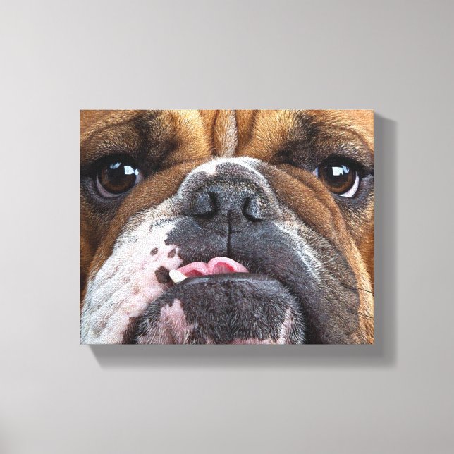 Impressão Em Tela Travesseiro decorativo Inglês Bulldog (Frente)