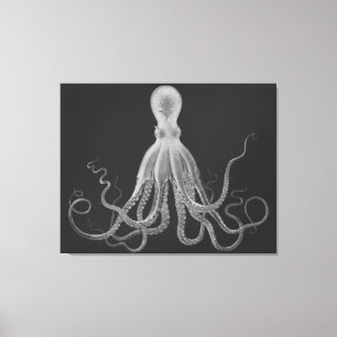 Impressão Em Tela Trecho de Octopus Superdimensionado na Cinza