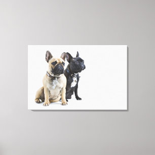 Impressão Em Tela Treinamento & obediência do cão