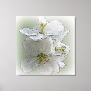 Impressão Em Tela três flores brancas