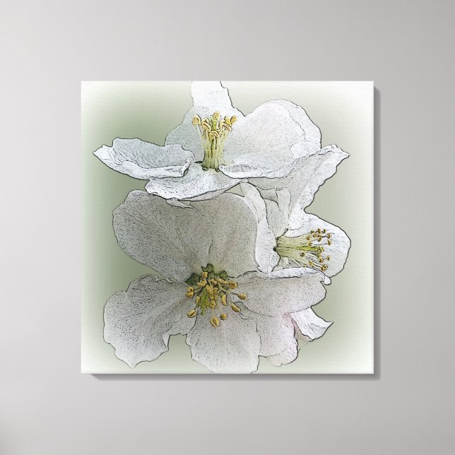 Impressão Em Tela três flores brancas (Frente)