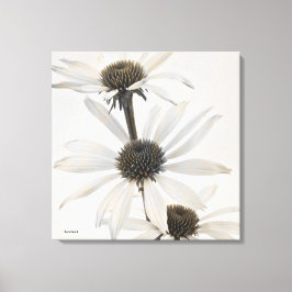 Impressão Em Tela Três Flores Brancas de Cone