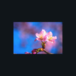 Impressão Em Tela Três Flores Sunlit Sakura Num Dia De Primavera Sun<br><div class="desc">Um belo aglomerado de três flores cor-de-sakura cereja floresce contra o céu azul claro e a névoa rosa das flores de cereja. O charme da estação de primavera. Uma pintura digital muito grande a partir de uma fotografia. Impressão floral esticada de tela para decorar seu lugar ou para ser usada...</div>
