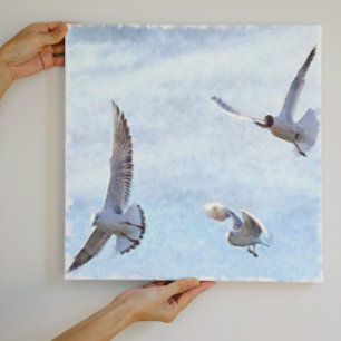 Impressão Em Tela Três Gaivotas Aquarela