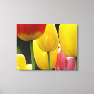 Impressão Em Tela Três Telas de Painel imprime Tulipas de Fotografia