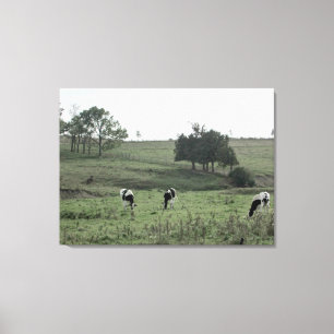 Impressão Em Tela Três Vacas em um Campo Arte de Parede Fotográfica