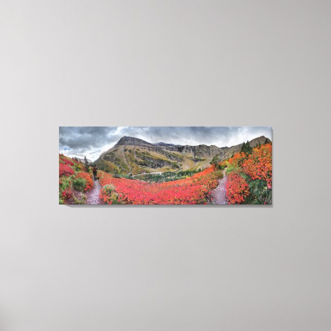 Impressão Em Tela Trilha de Passagem Swiftcurrent - Parque Nacional  (Frente)