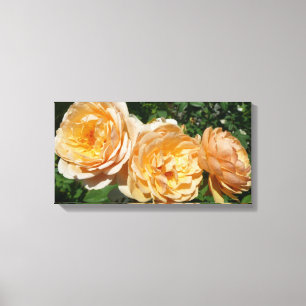 Impressão Em Tela Trio de Rosas de pêssego