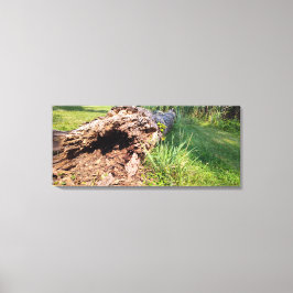 Impressão Em Tela Tronco de Árvore Quebrado
